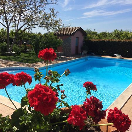 Bed and Breakfast Il Giardino Segreto Trappitello Exterior foto
