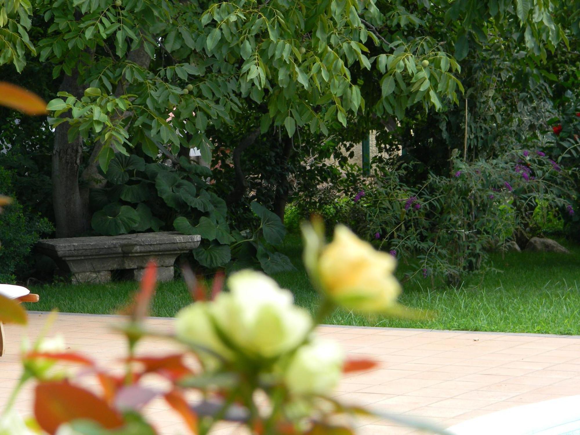 Bed and Breakfast Il Giardino Segreto Trappitello Exterior foto